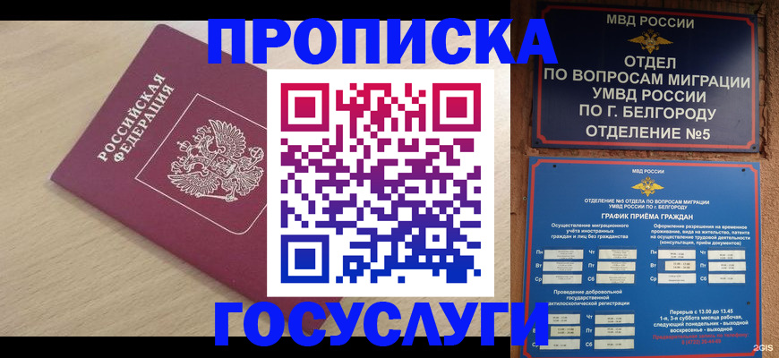прописка законно в Луге